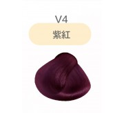 Q8 炫彩水靈素護理顏色 V4